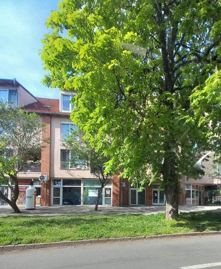 Rozsa Apartman Keszthely Exterior photo